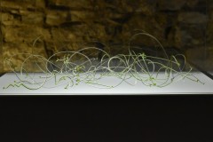 vystava-inner-glow-60