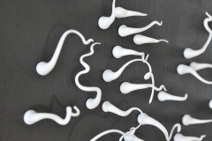 Výstava Petra Hamplové a Petra Hampla v galerii U Prstenu