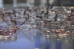 vernisáž výstavy Lineární variace v galerii Kus Kovu