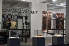 vernisáž výstavy Lineární variace v galerii Kus Kovu